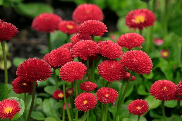 Pisciniste à Limoges : il peut aussi s'occuper de l'entretien de la structure