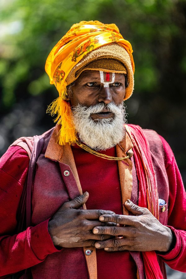 Comment transformer un petit balcon en jardin vertical avec des systèmes d'accroche modulaires ?