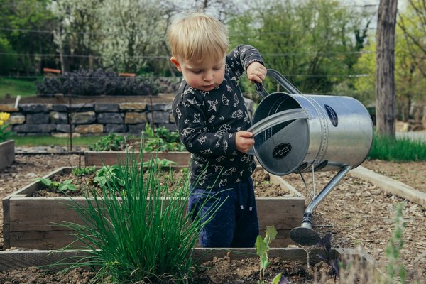 Jardin de plantes résistantes aux maladies : choix et conseils